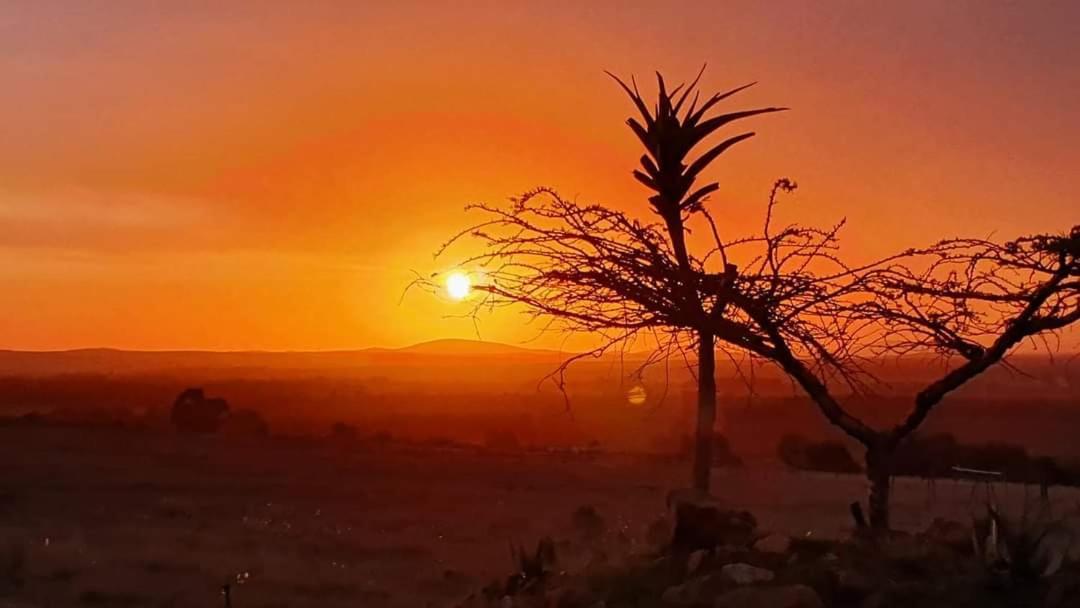 הוילה סוולנדאם Kwetu Guest Farm מראה חיצוני תמונה