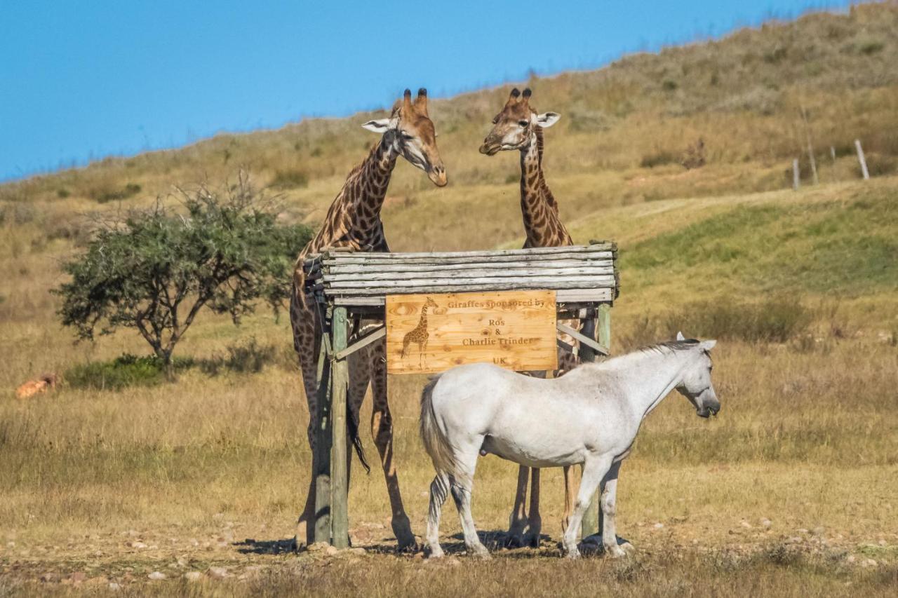 הוילה סוולנדאם Kwetu Guest Farm מראה חיצוני תמונה